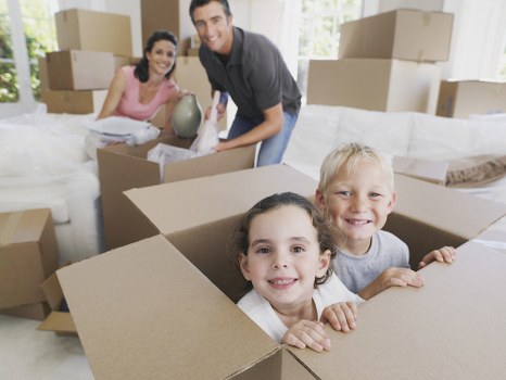 Crayford removals van for flats, houses, and business transport
