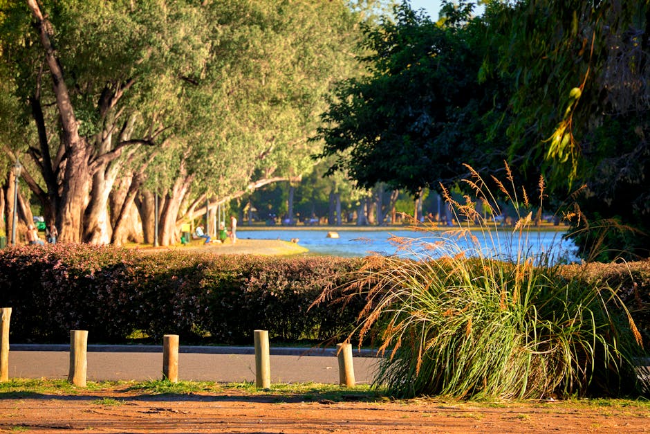 A broad view of Ernest Dence Park showing a paved pathway running alongside a body of water, with lush green trees lining the opposite bank. The trees have dense foliage and cast shade over the area during daylight. In the foreground, there are ornamental grasses and small shrubs separated from the pathway by wooden bollards. The park appears well-maintained with clear pathways and natural greenery, suitable for outdoor activities. The setting is calm and natural, with no visible moving equipment or furniture, but the scene emphasizes peaceful outdoor environment often associated with community parks near residential areas like Crayford, where house removals and furniture transport services may be relevant, as highlighted on the manwithvancrayford.co.uk website.