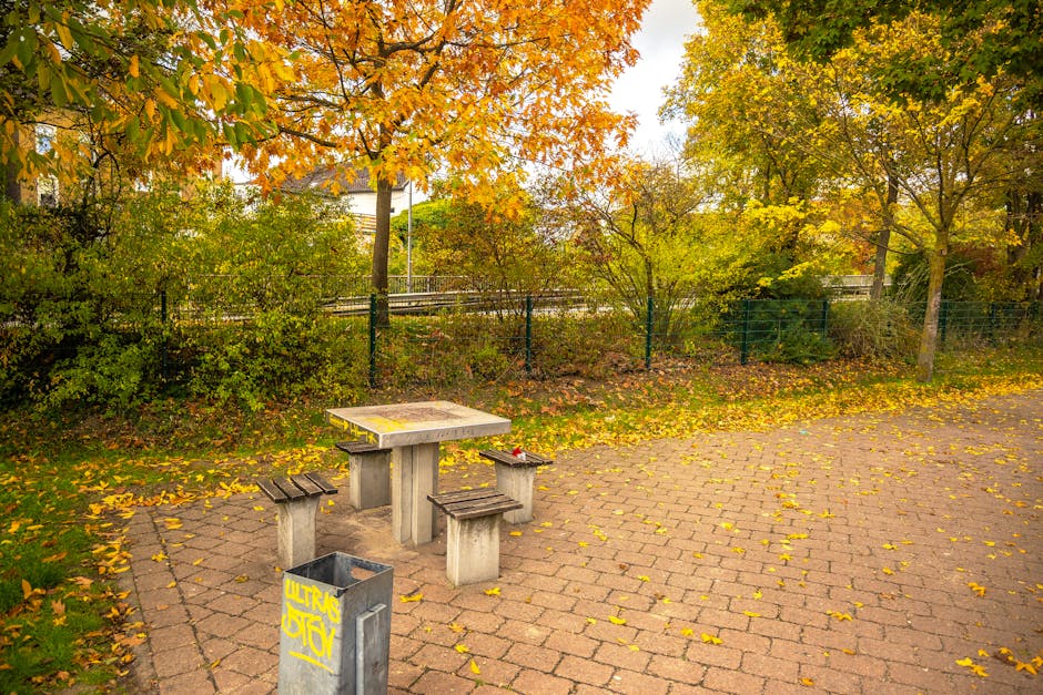 A broad view of Ernest Dence Park showing a paved pathway running alongside a body of water, with lush green trees lining the opposite bank. The trees have dense foliage and cast shade over the area during daylight. In the foreground, there are ornamental grasses and small shrubs separated from the pathway by wooden bollards. The park appears well-maintained with clear pathways and natural greenery, suitable for outdoor activities. The setting is calm and natural, with no visible moving equipment or furniture, but the scene emphasizes peaceful outdoor environment often associated with community parks near residential areas like Crayford, where house removals and furniture transport services may be relevant, as highlighted on the manwithvancrayford.co.uk website.